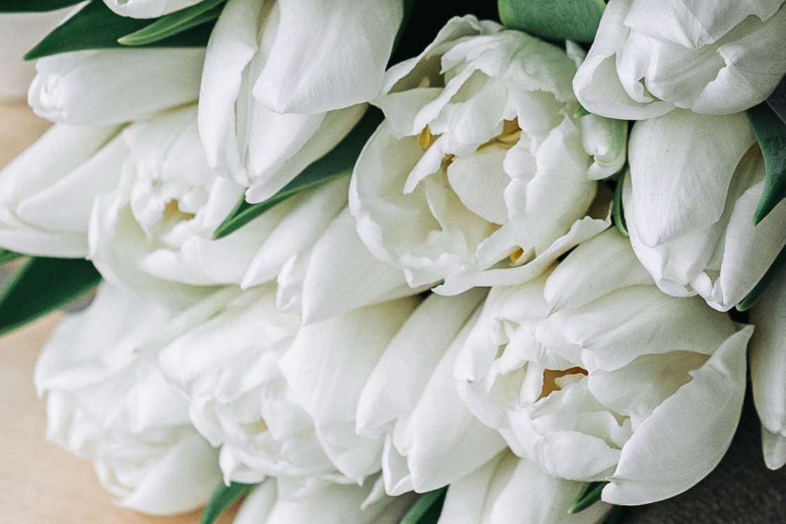 Happy Birthday. Портретний і сімейний фотограф Київ