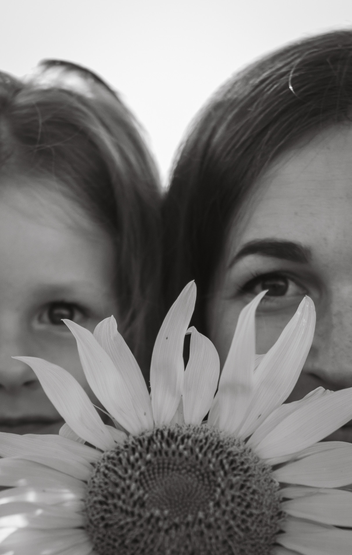 Sunflowers mummy&me. Портретний і сімейний фотограф Київ