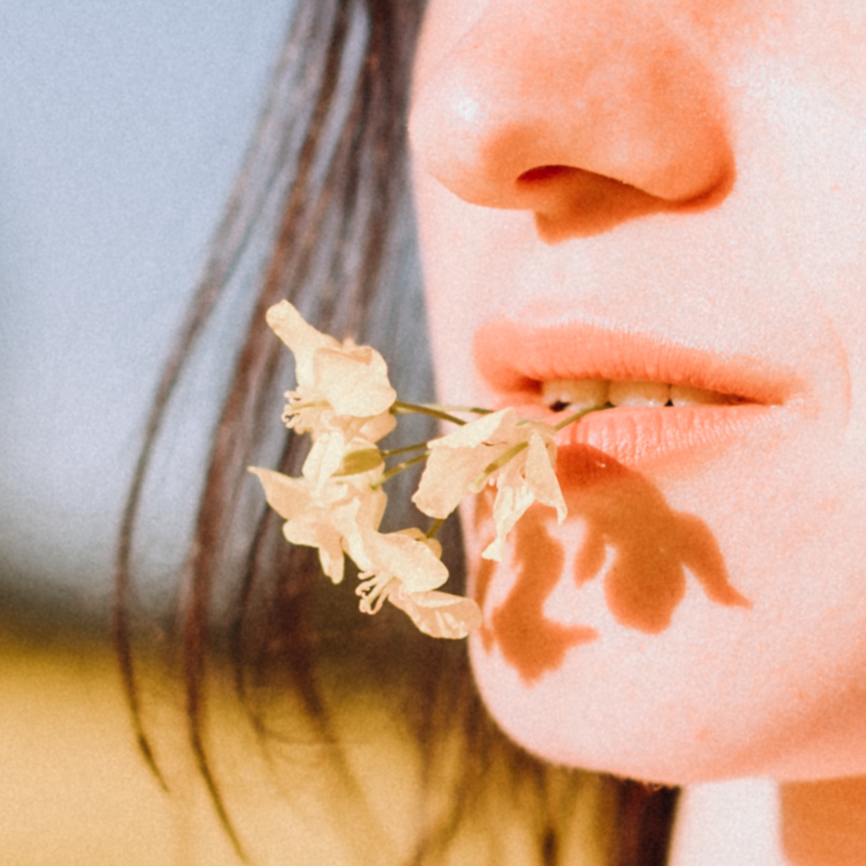 Рапсове поле. Портретний і сімейний фотограф Київ