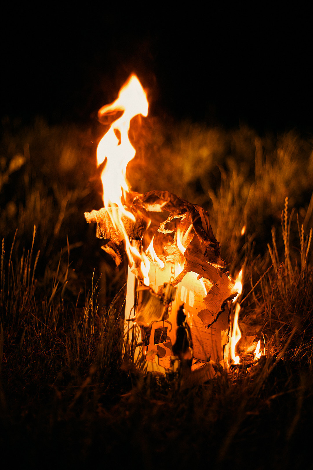 Паперовий будиночок. Соціальний проект. Сімейний фотограф в Києві