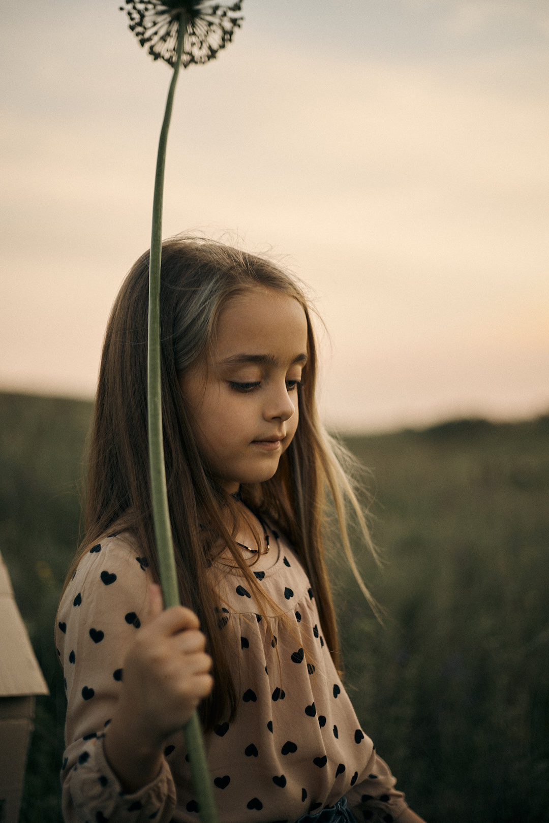 Паперовий будиночок. Соціальний проект. Сімейний фотограф в Києві