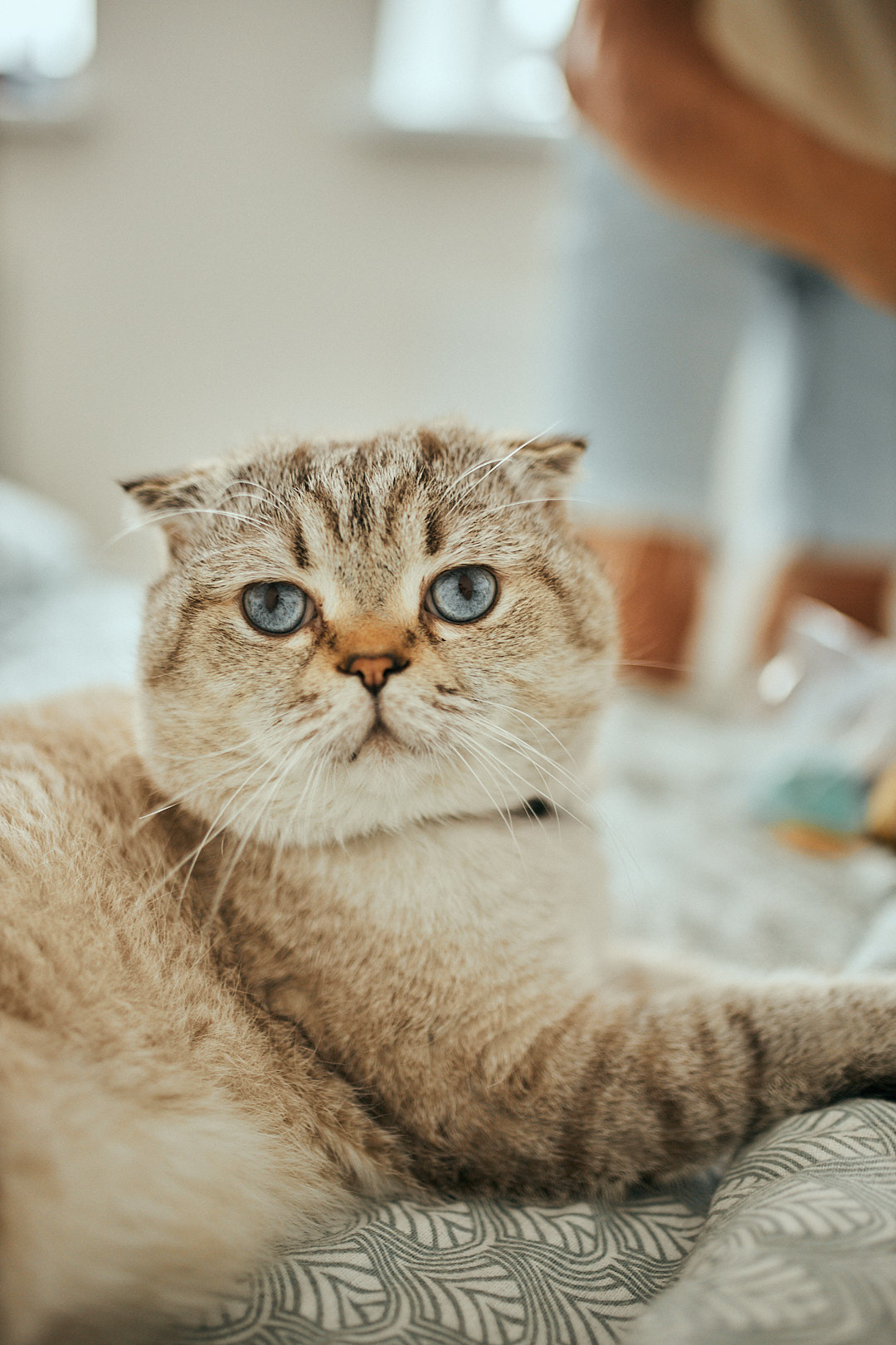 Тимофійчику 4 роки. Сімейний фотограф в Києві