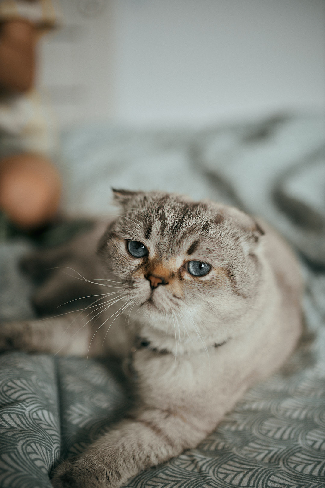 Тимофійчику 4 роки. Сімейний фотограф в Києві