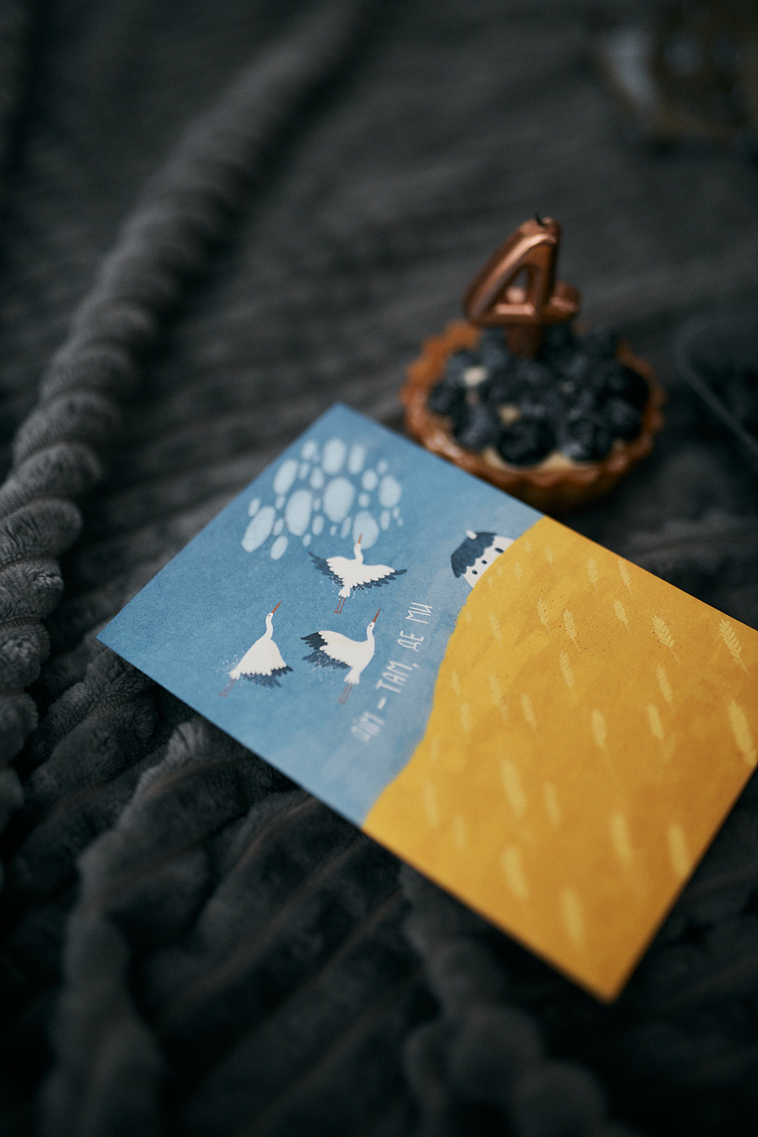 Тимофійчику 4 роки. Сімейний фотограф в Києві