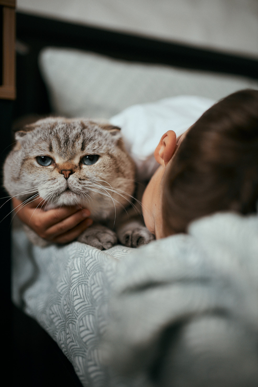 Тимофійчику 4 роки. Сімейний фотограф в Києві