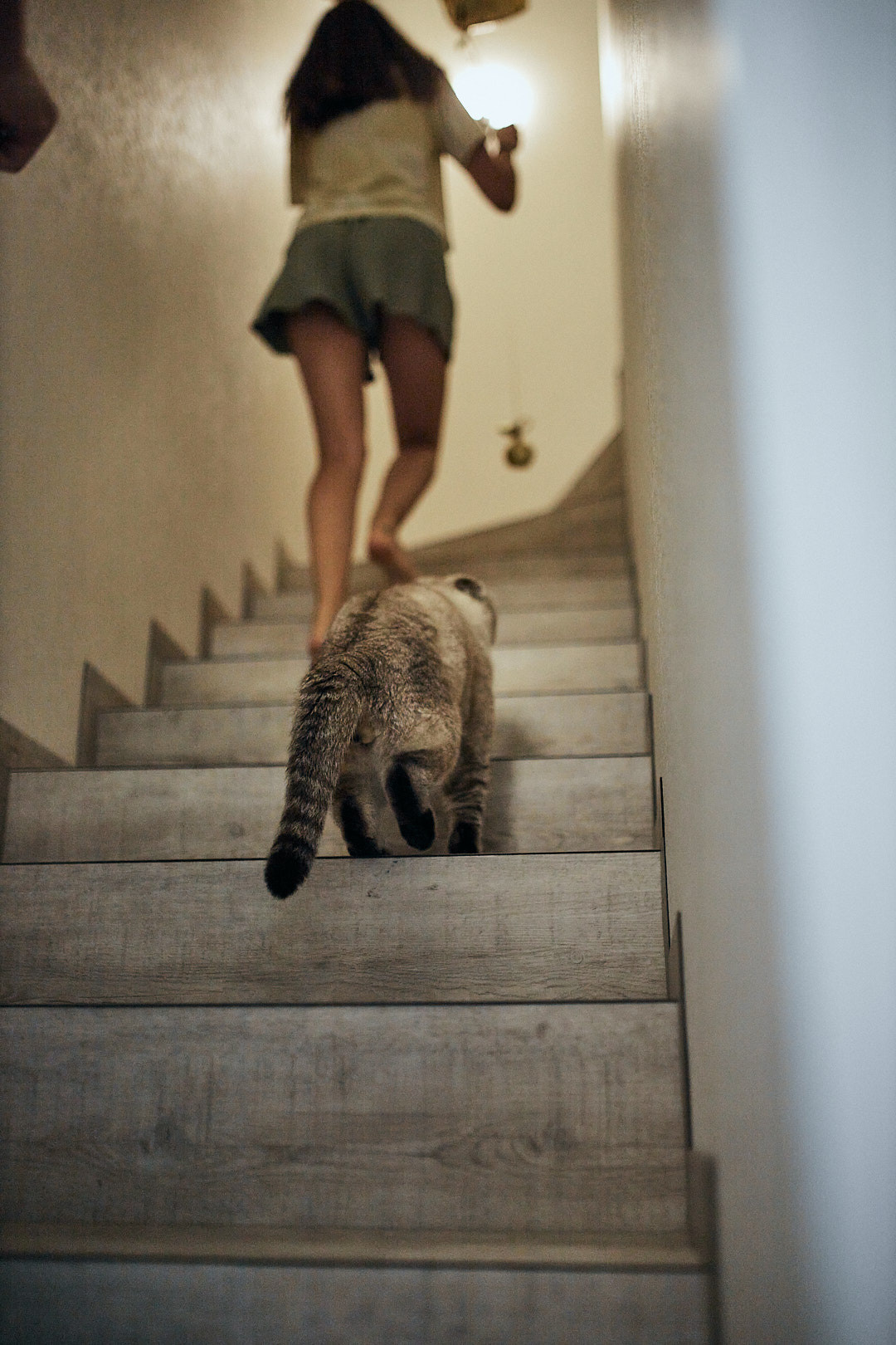 Тимофійчику 4 роки. Сімейний фотограф в Києві