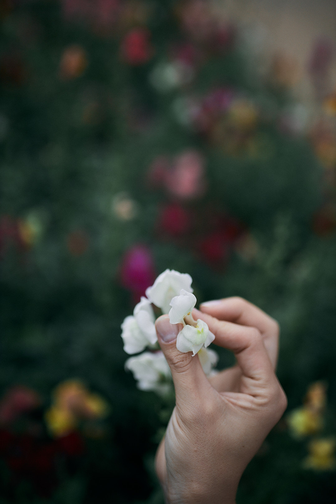 Анна й Олександр. Сімейний фотограф в Києві