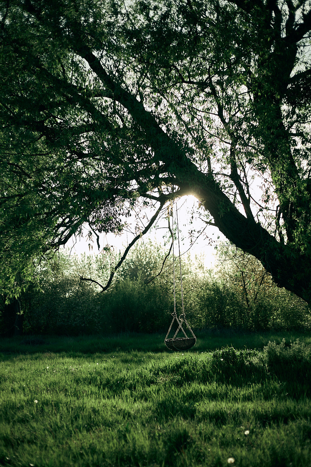 Люляй, люляй, синочку. Сімейний фотограф в Києві