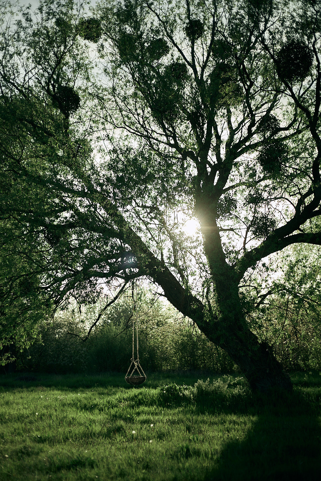 Люляй, люляй, синочку. Сімейний фотограф в Києві