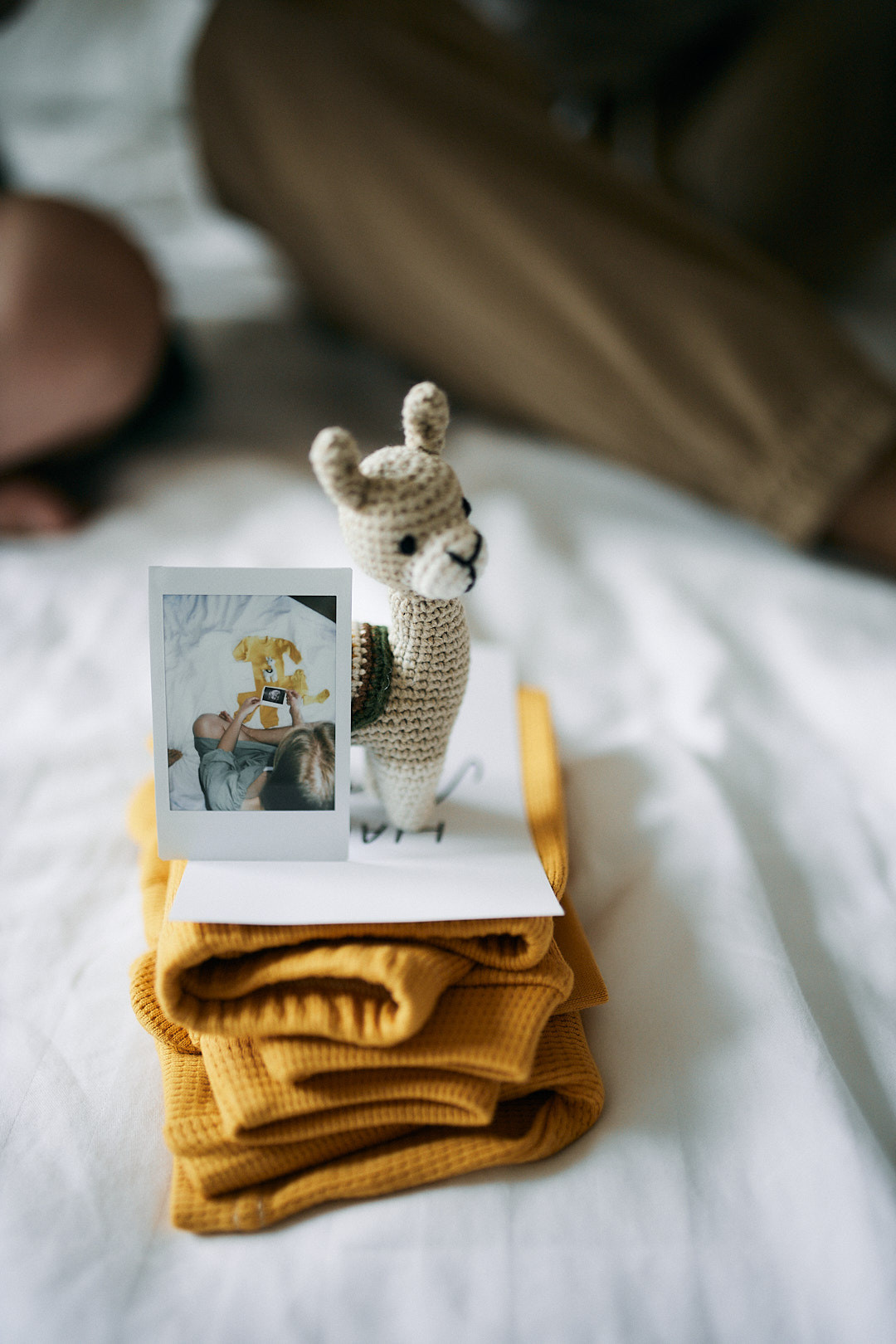 Анна й Олександр. Сімейний фотограф в Києві