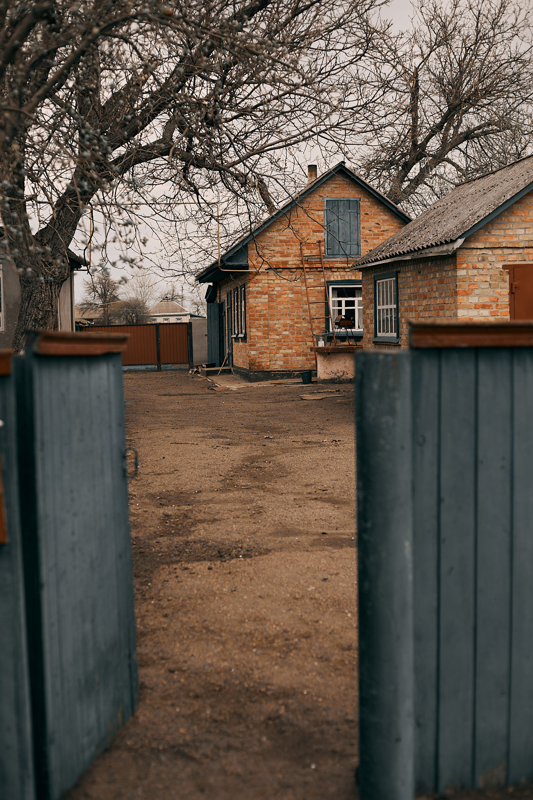 Альона, Маша, Поліна. Великдень. Сімейний фотограф в Києві