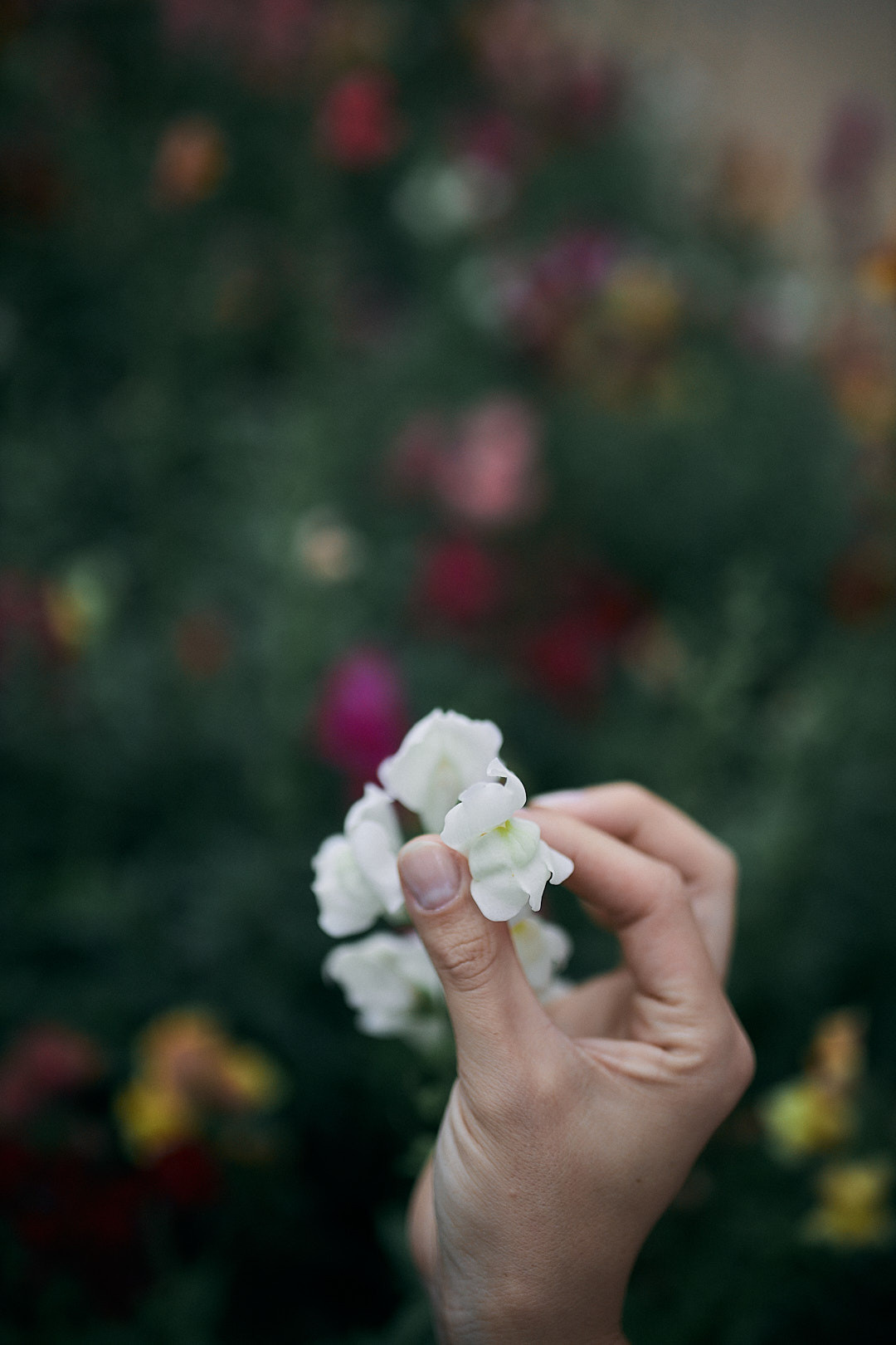 Анна й Олександр. Сімейний фотограф в Києві