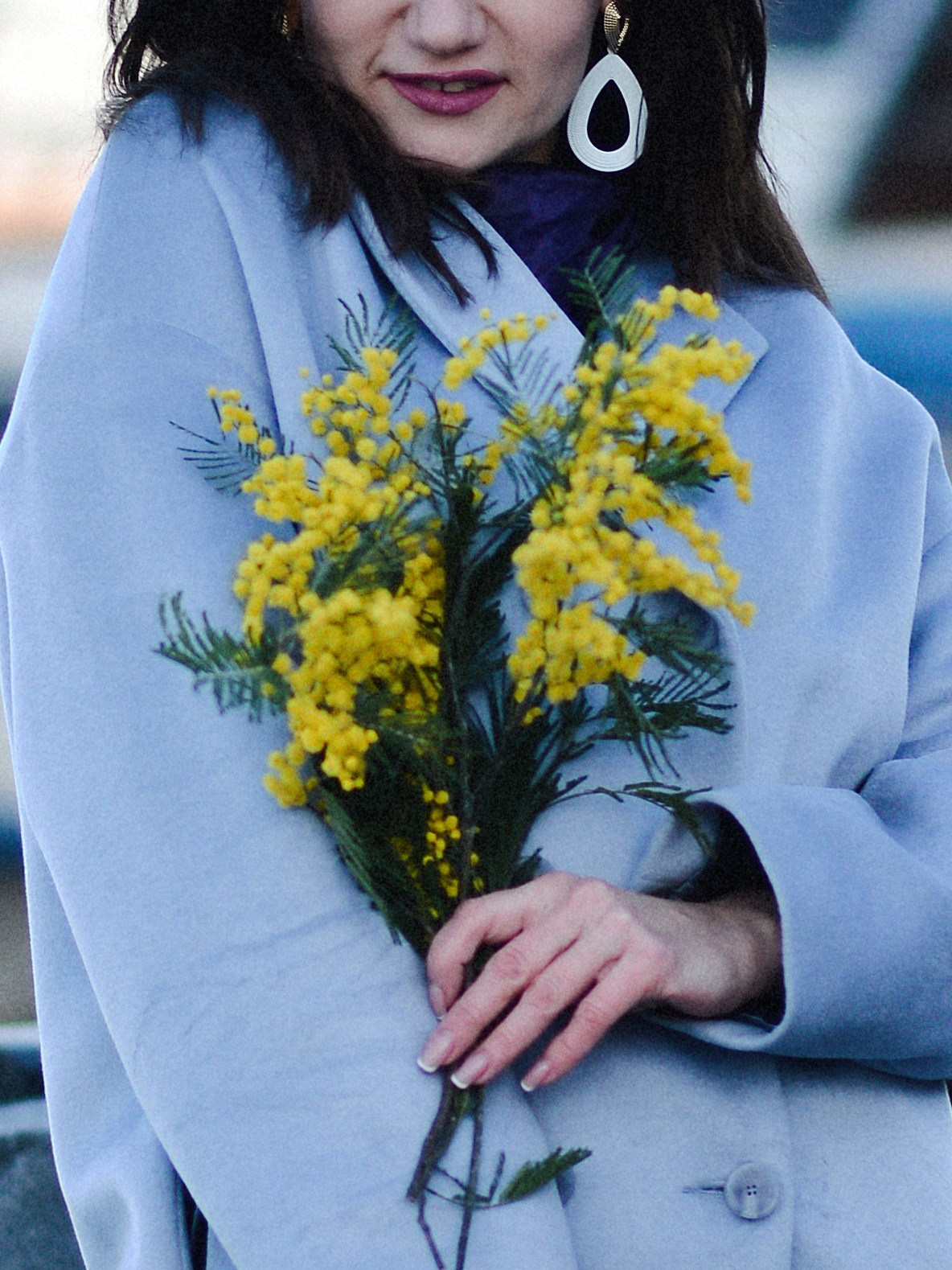 Мимоза в городе. Фотограф Натали Кошевая _ Днепр, Подгородное