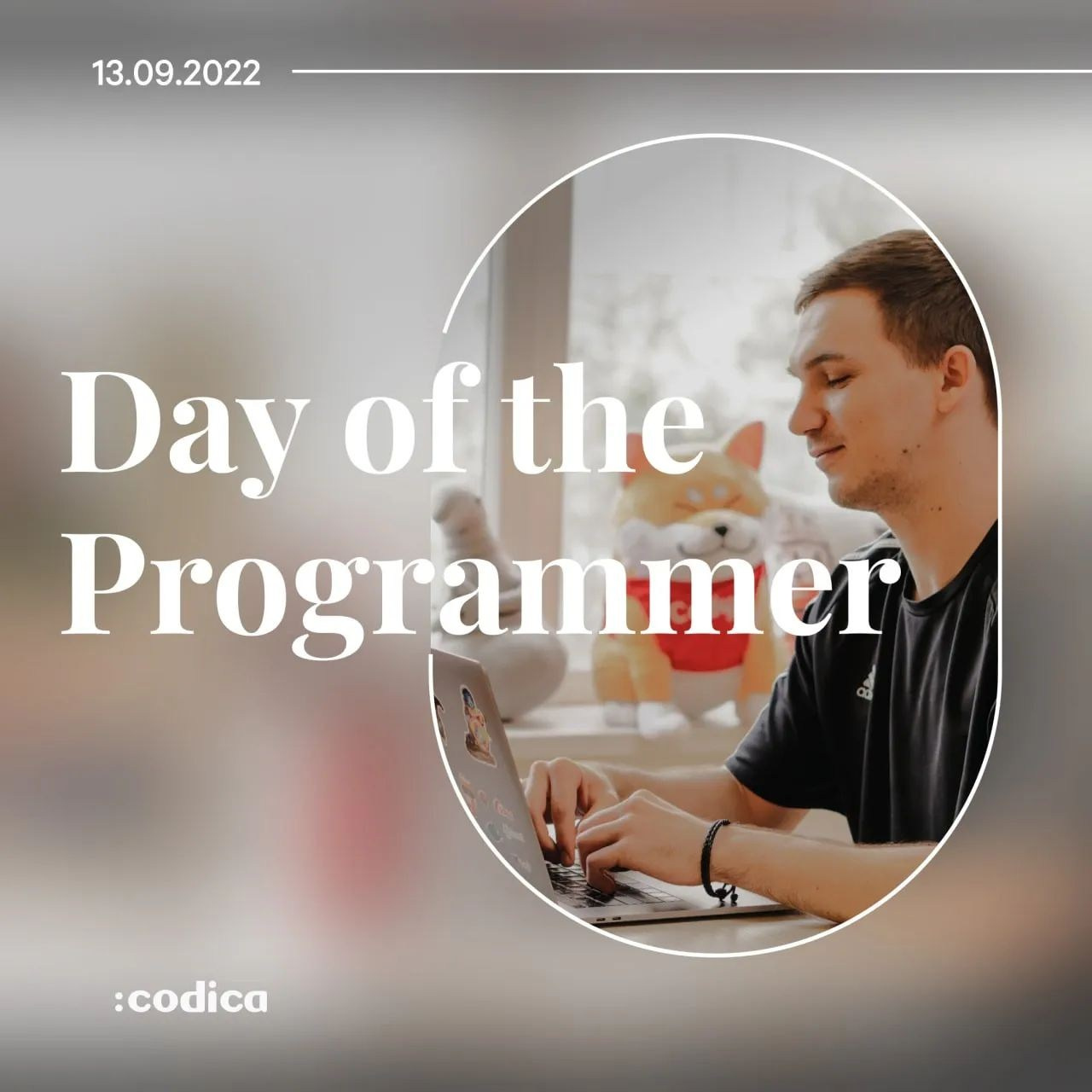 Codica. Фото • Відео • Аерозйомка • Контент для бізнесу