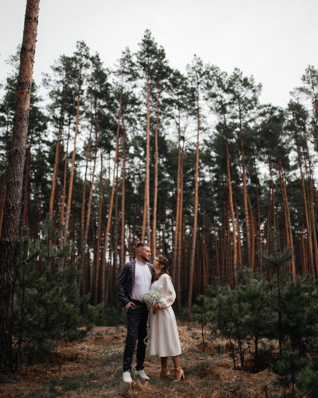 Прогулянка сосновим лісом. Фотограф Шепетівка, вся Україна, Дзекан Денис!