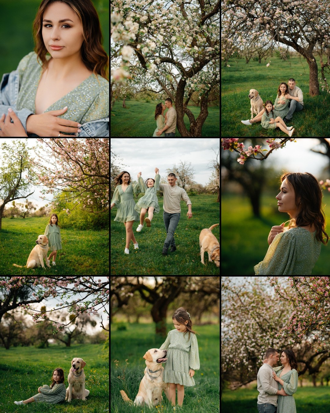 Прогулянка сосновим лісом. Фотограф Шепетівка, вся Україна, Дзекан Денис!