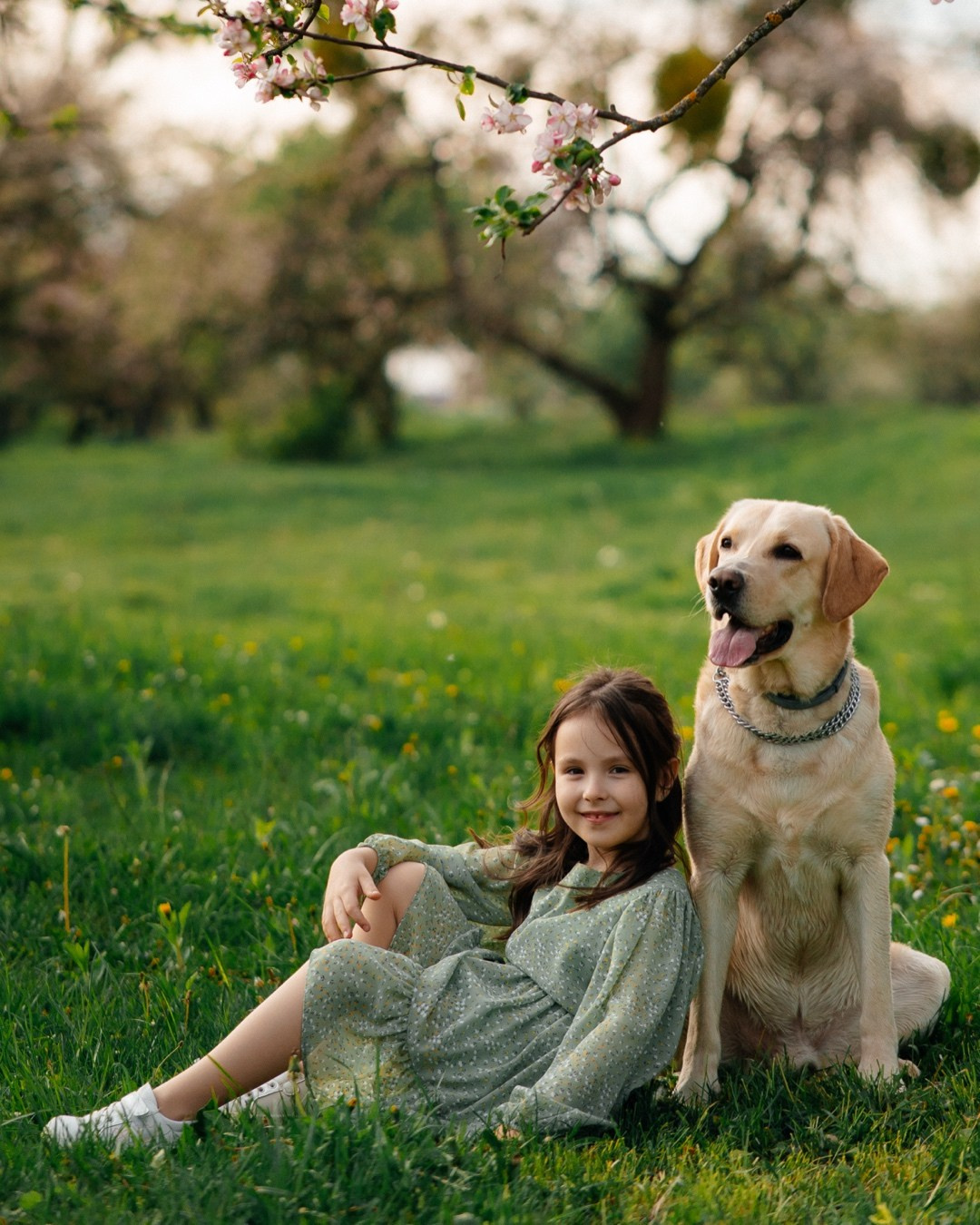 Лорд із своєю компанією. Photographer Shepetivka, all over Ukraine, Dzekan Denys!