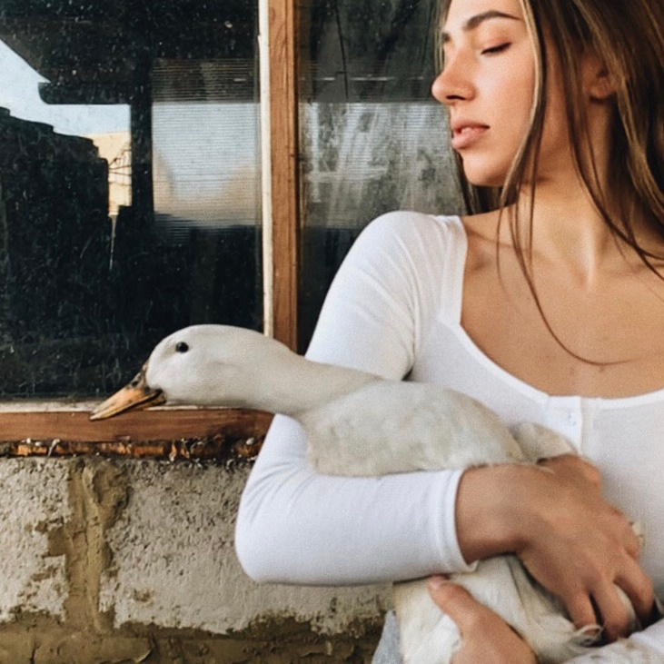 Facetime. Julia Sonata. Berlin