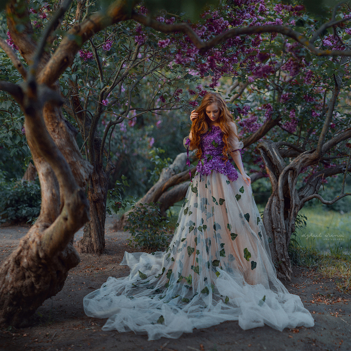 Fine art Lilac. Art photographer in Amsterdam, the Netherlands Irina Dzhul