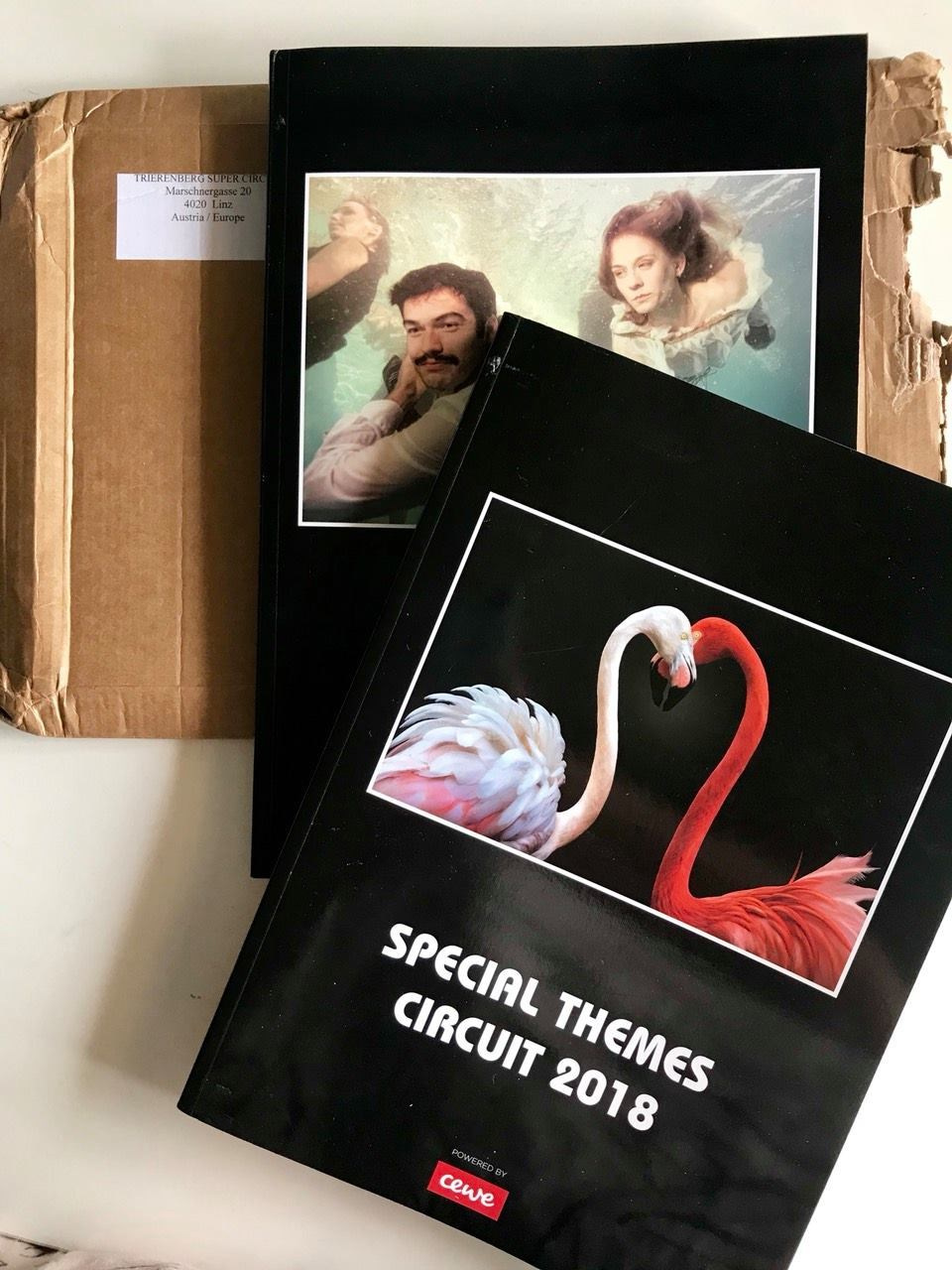 My awards. Art photographer in Amsterdam, the Netherlands Irina Dzhul