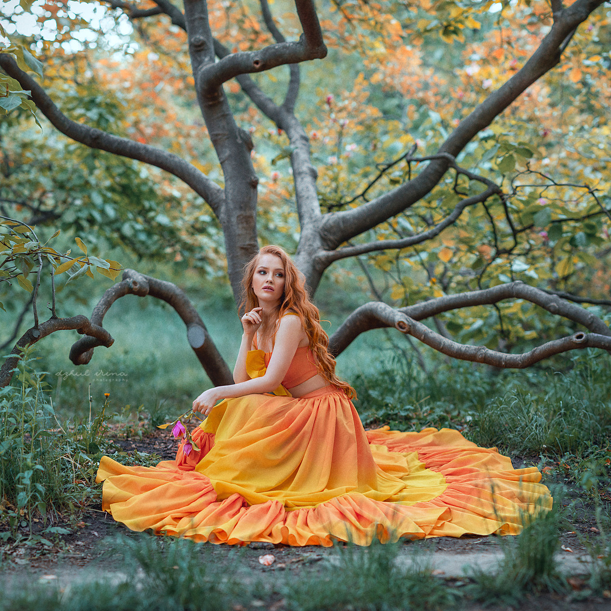 Fine art Lilac. Art photographer in Amsterdam, the Netherlands Irina Dzhul