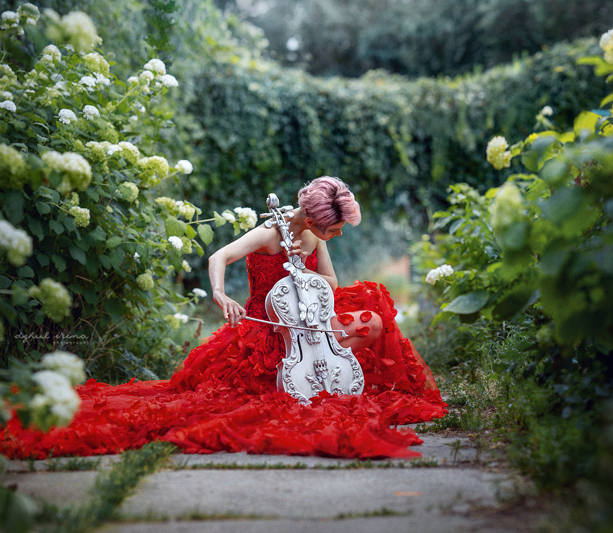 Fine art Red Rose. Art photographer in Amsterdam, the Netherlands Irina Dzhul
