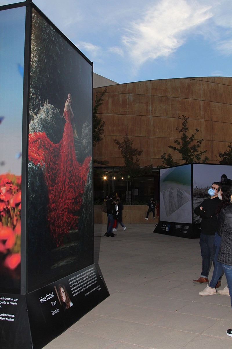 My exhibitions. Art photographer in Amsterdam, the Netherlands Irina Dzhul