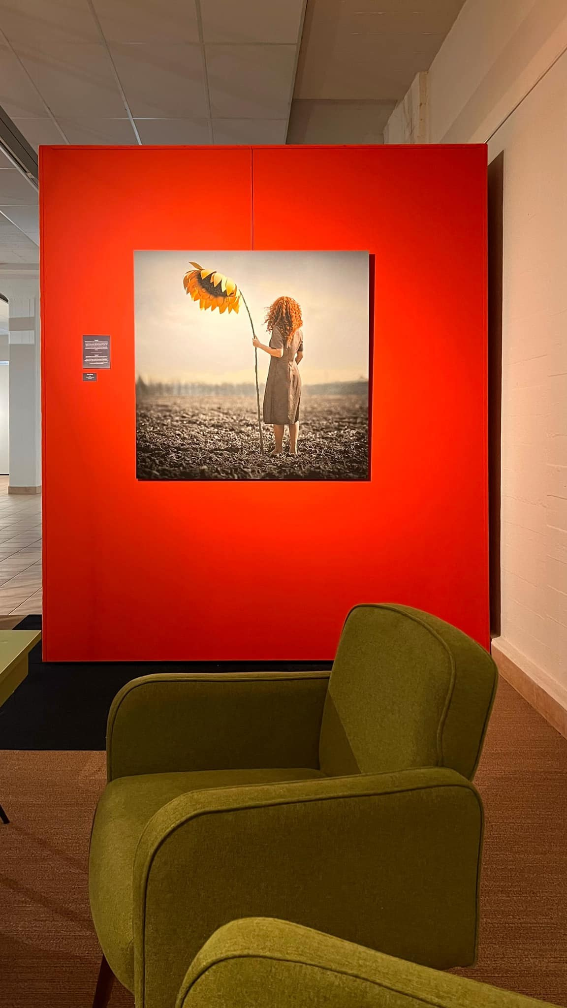 My exhibitions. Art photographer in Amsterdam, the Netherlands Irina Dzhul