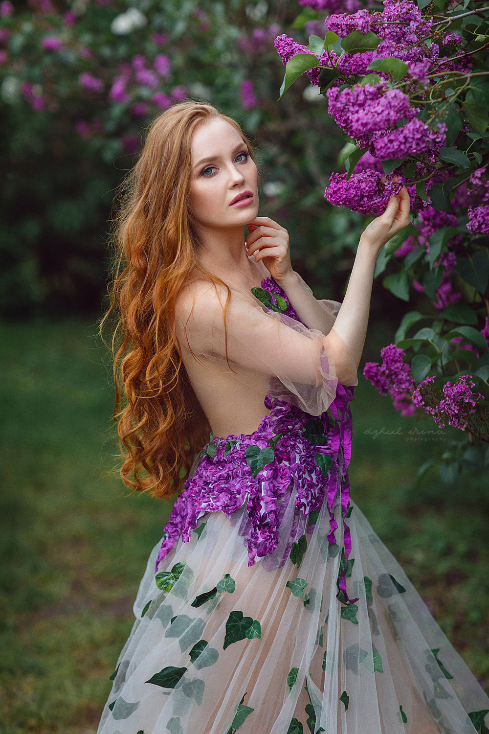 Fine art Lilac. Art photographer in Amsterdam, the Netherlands Irina Dzhul