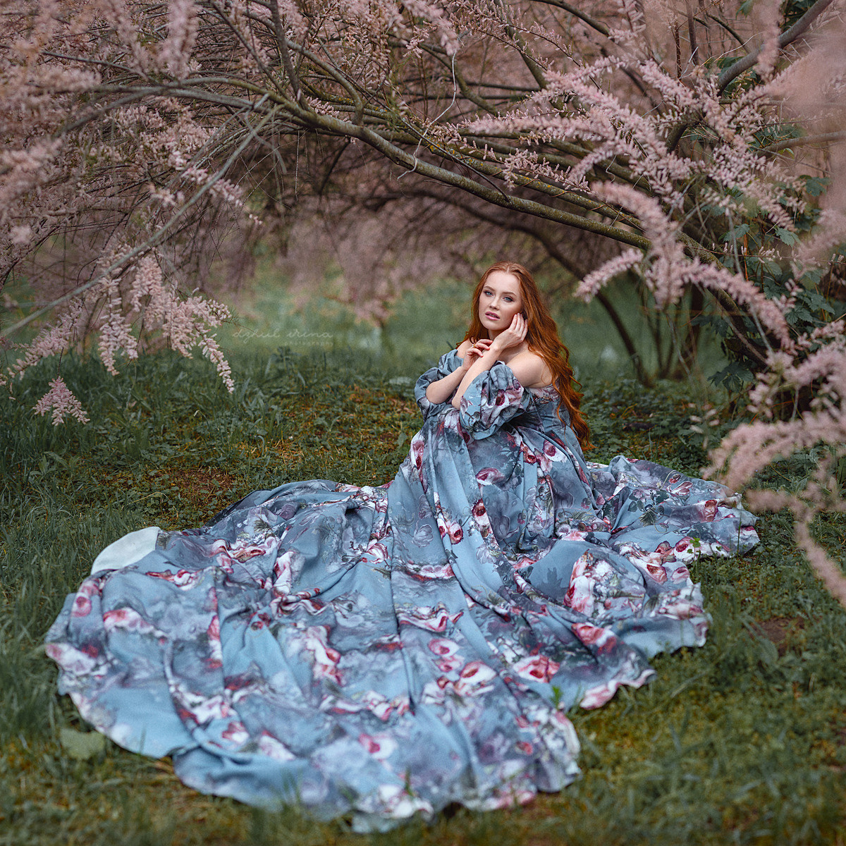 Fine art Lilac. Art photographer in Amsterdam, the Netherlands Irina Dzhul