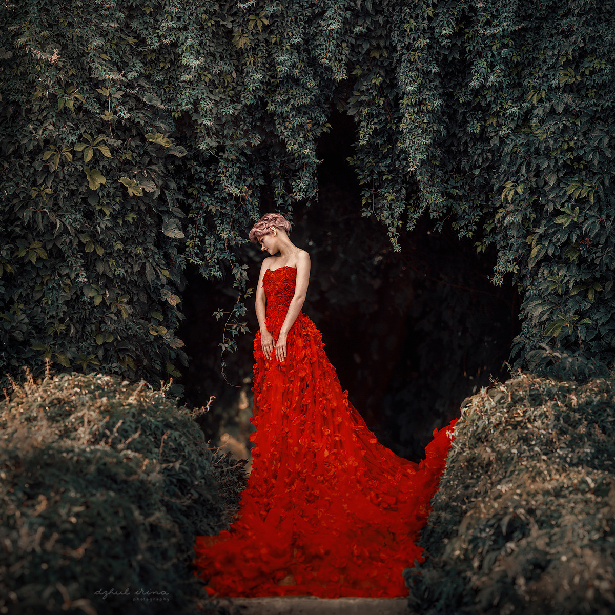 Fine art Red Rose. Art photographer in Amsterdam, the Netherlands Irina Dzhul