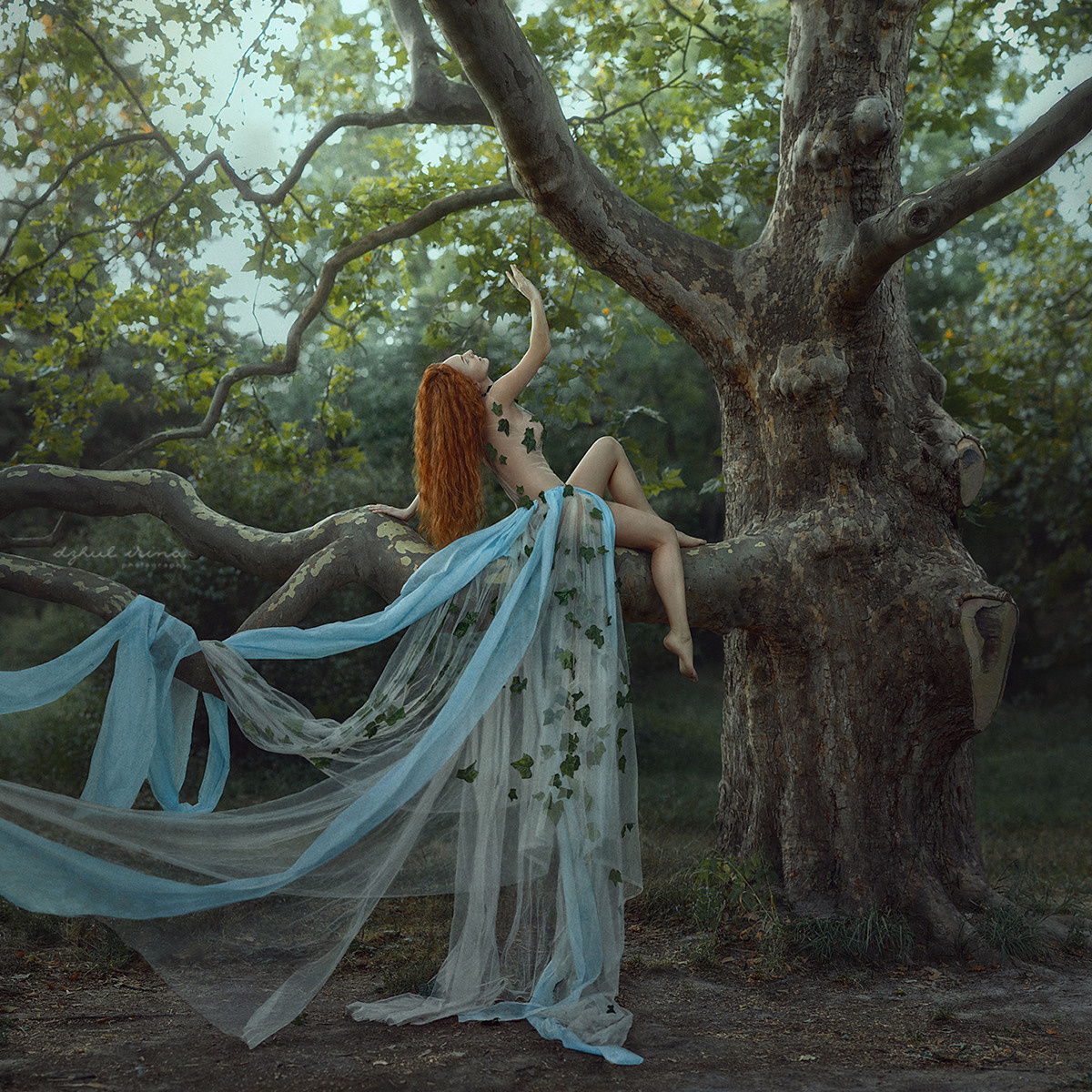 Shooting for the brand. Vikings drink LUUFEN. The tree of life. Art photographer in Amsterdam, the Netherlands Irina Dzhul