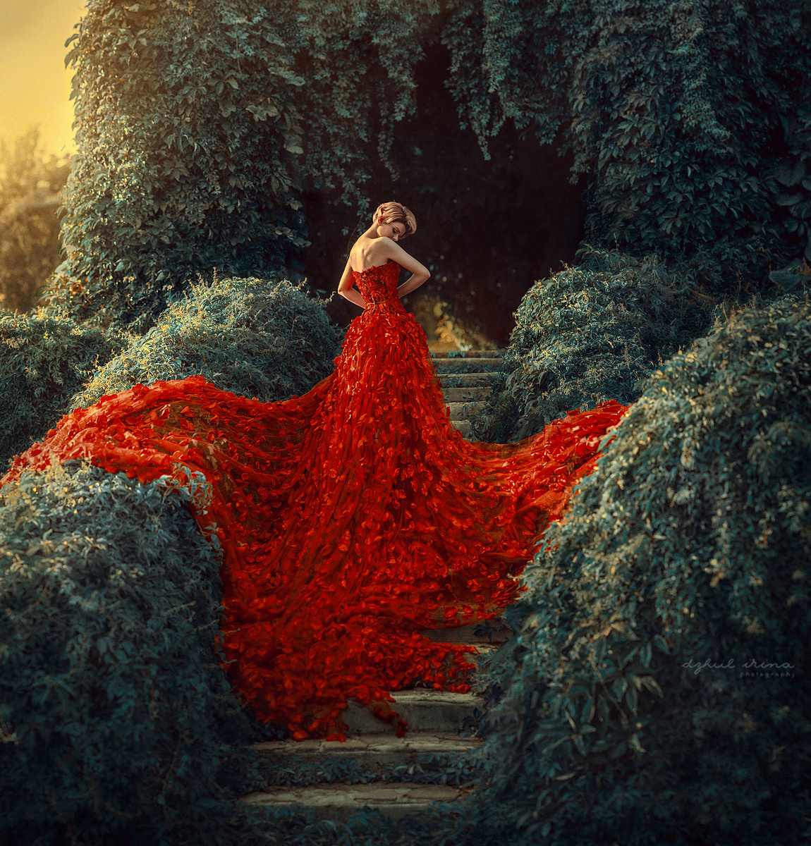 Fine art Red Rose. Art photographer in Amsterdam, the Netherlands Irina Dzhul