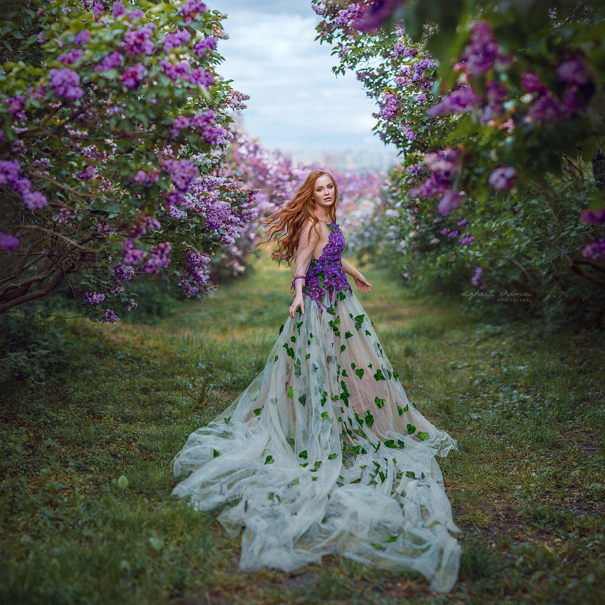 Fine art Lilac. Art photographer in Amsterdam, the Netherlands Irina Dzhul