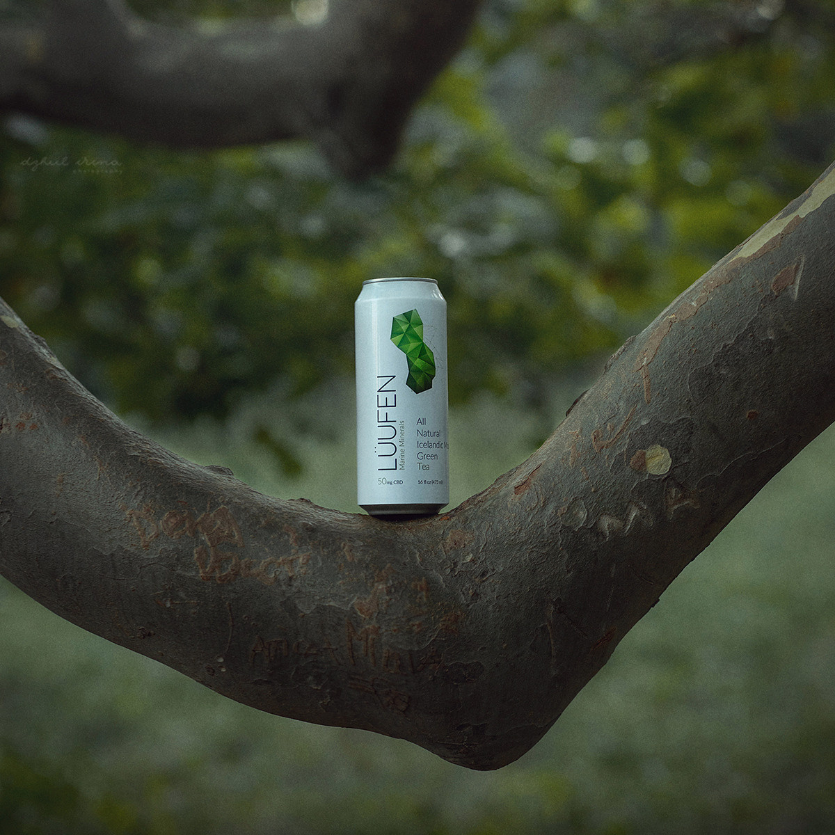 Shooting for the brand. Vikings drink LUUFEN. The tree of life. Art photographer in Amsterdam, the Netherlands Irina Dzhul