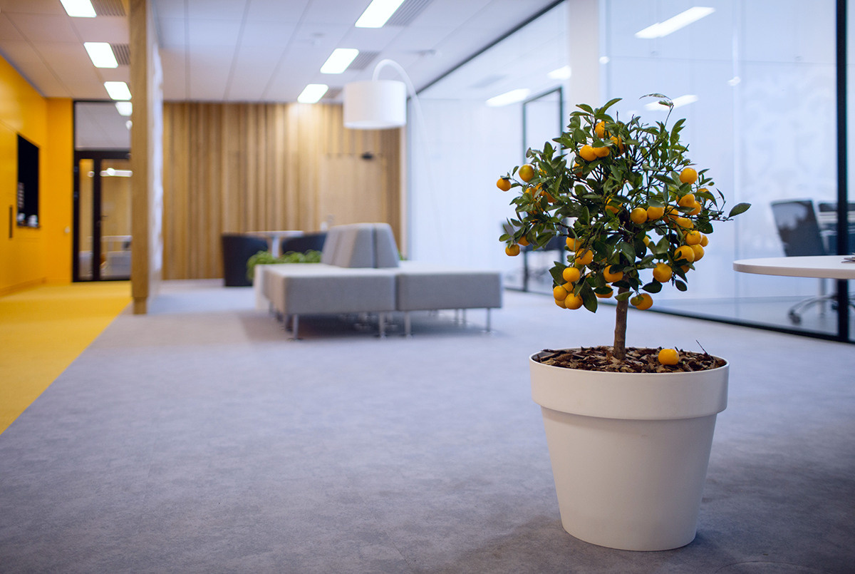 Photoshoot of ING Bank Interiors. Art photographer in Amsterdam, the Netherlands Irina Dzhul