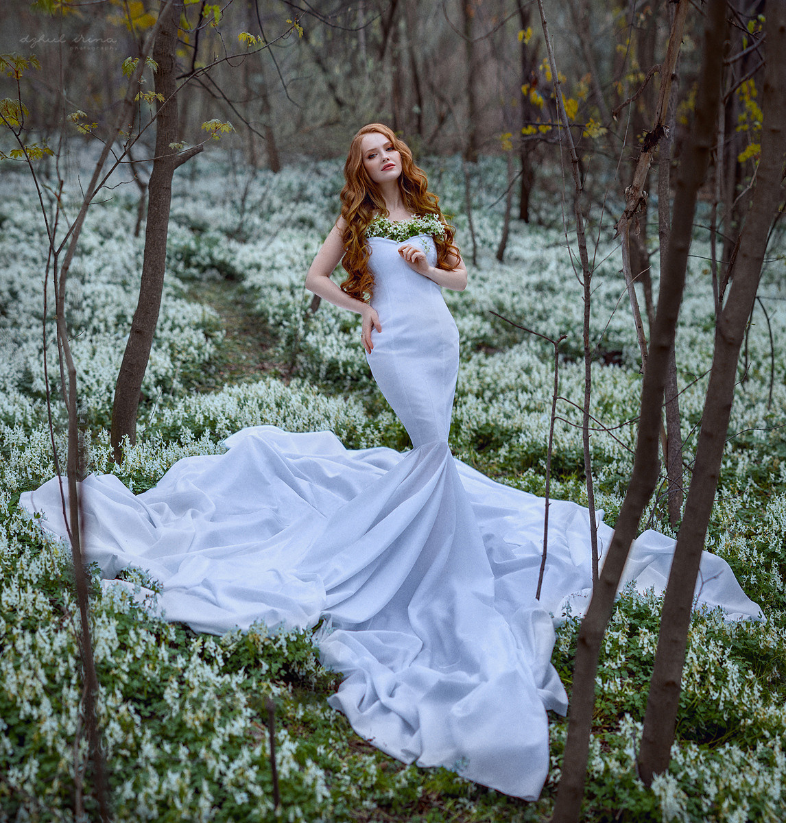 Fine art flowers. Art photographer in Amsterdam, the Netherlands Irina Dzhul