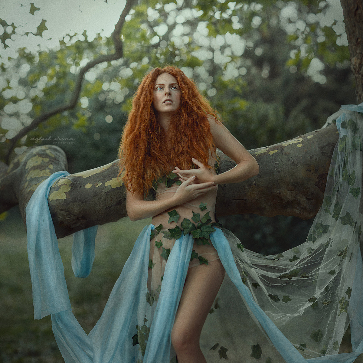 Shooting for the brand. Vikings drink LUUFEN. The tree of life. Art photographer in Amsterdam, the Netherlands Irina Dzhul