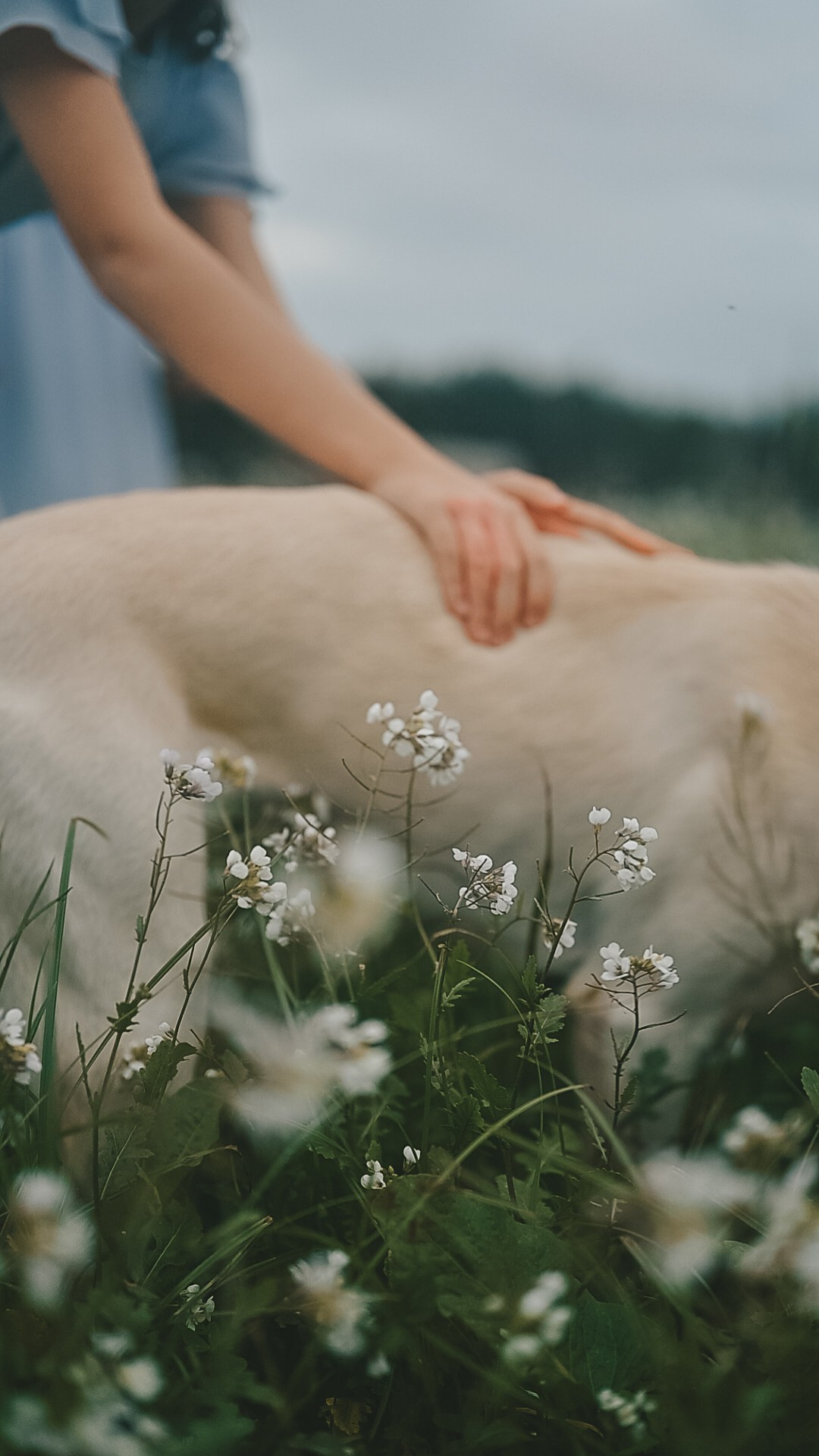 Little fairytail. Tatiana Malysheva — lifestyle fotógrafa y videógrafa en Valencia, España