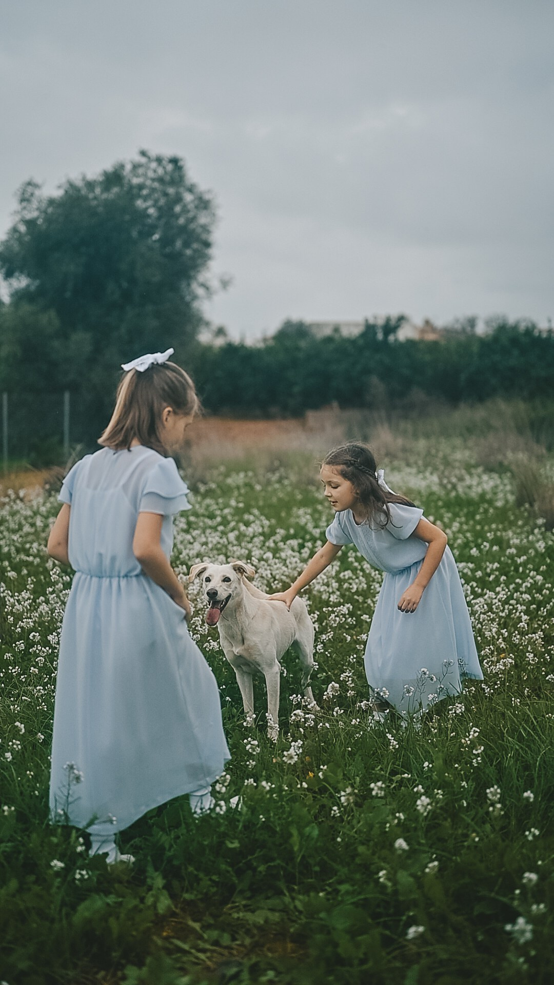 Little fairytail. Tatiana Malysheva — lifestyle fotógrafa y videógrafa en Valencia, España