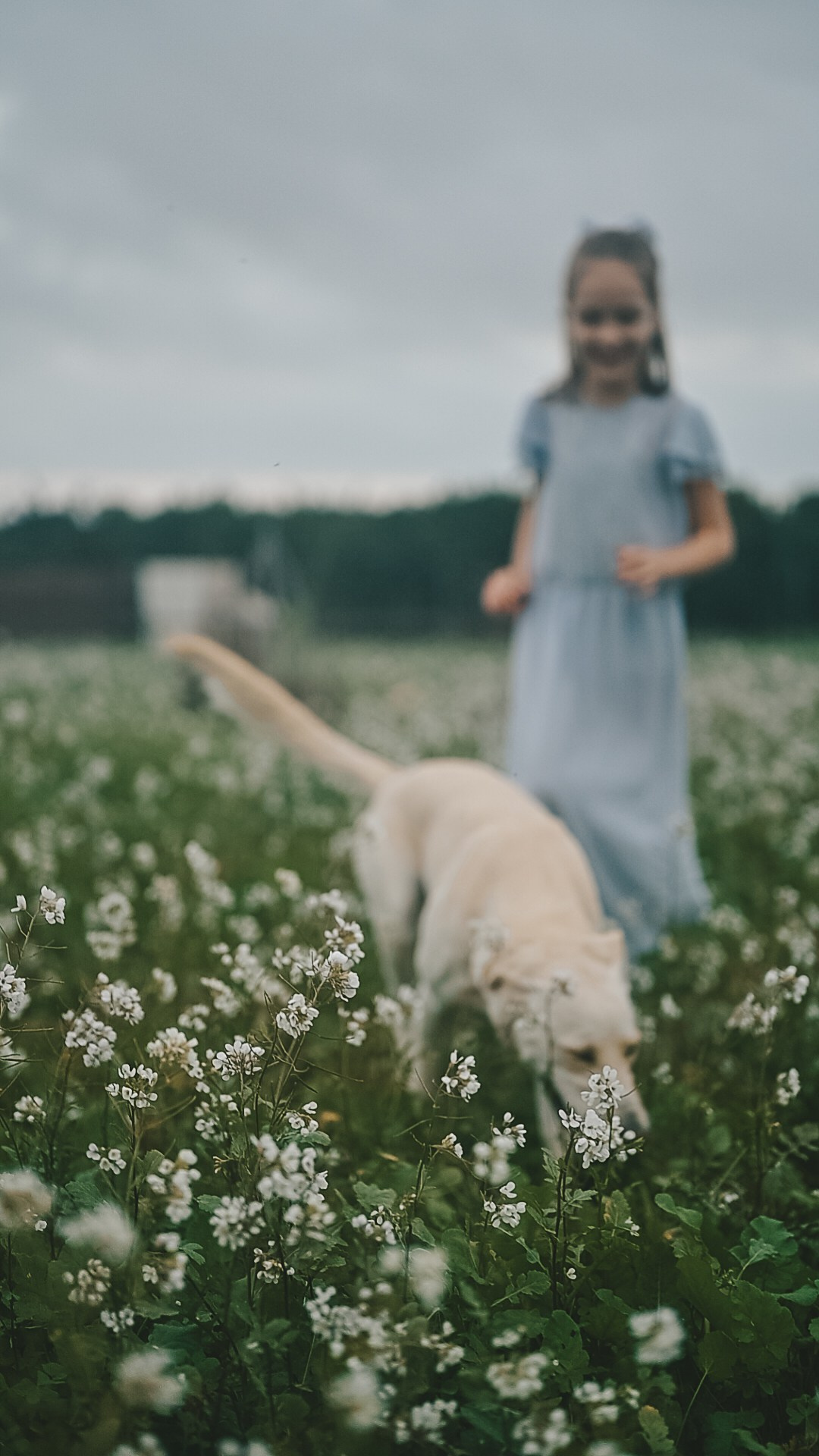 Little fairytail. Tatiana Malysheva — lifestyle fotógrafa y videógrafa en Valencia, España