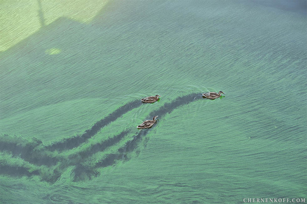 Iра та Євген. Весільний та сімейний фотограф в Києві