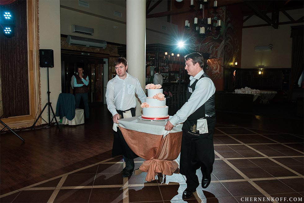 Дмитро та Анастасія. Весільний та сімейний фотограф в Києві