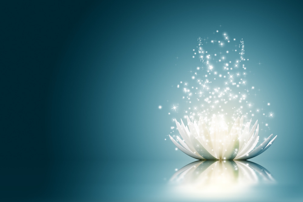 03 — цветы — растения — фрукты