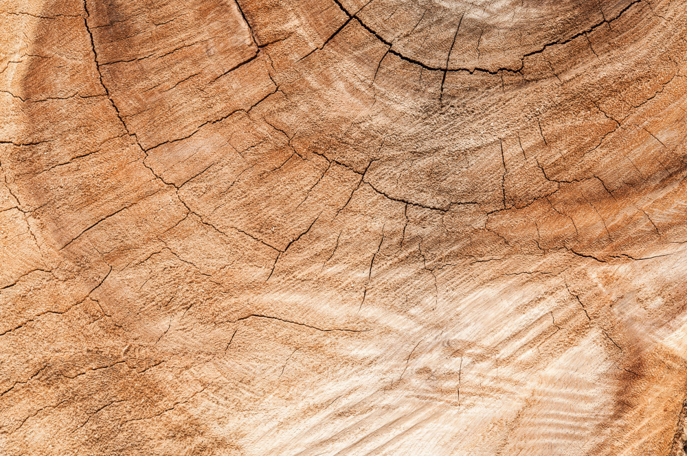 14 — деревянные фоны