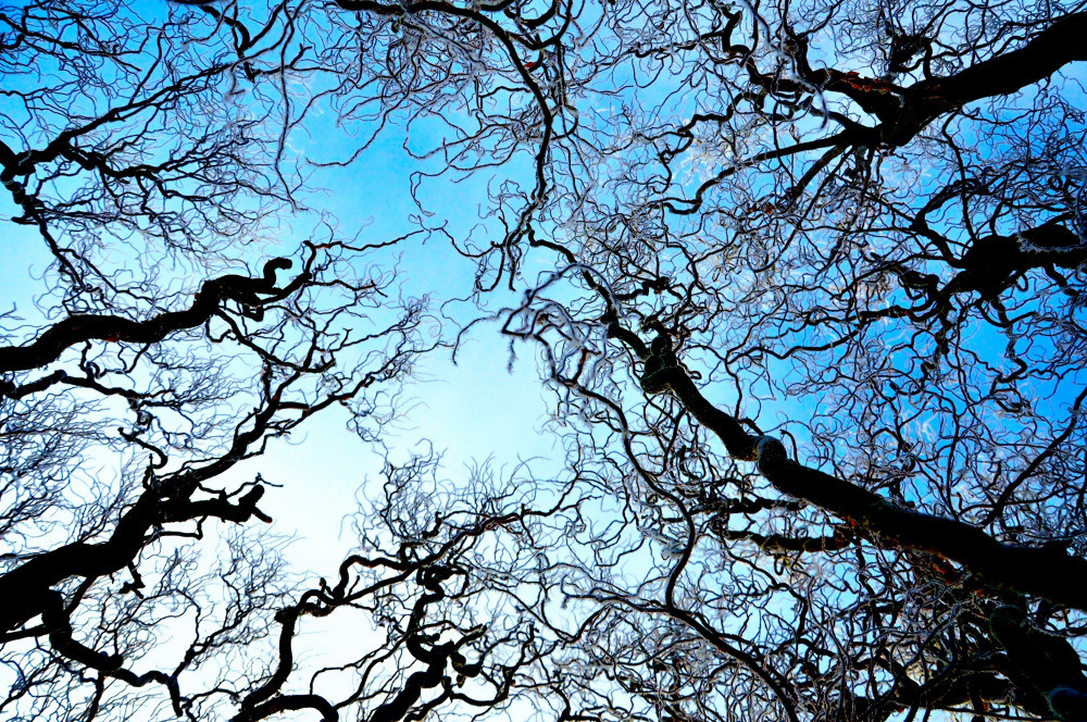 05 - природа и пейзажи