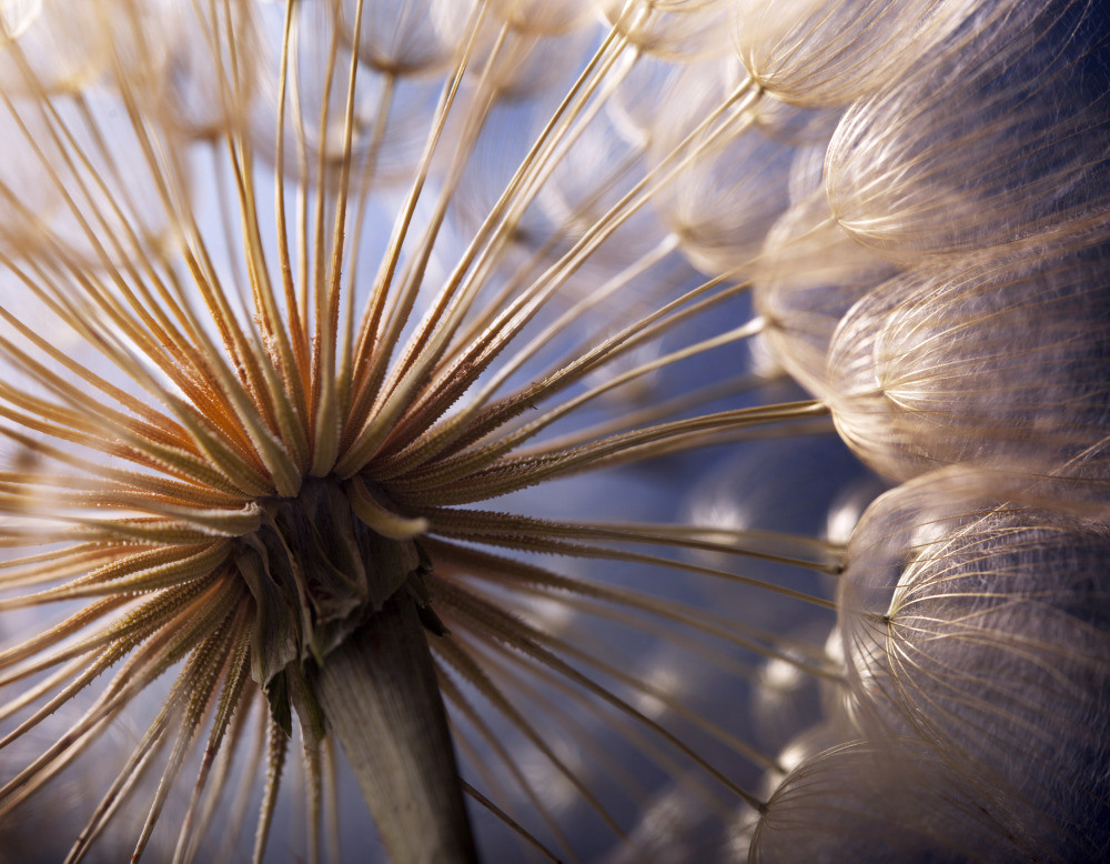 05 - природа и пейзажи