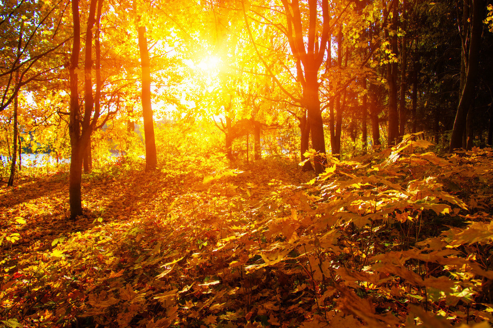 05 - природа и пейзажи