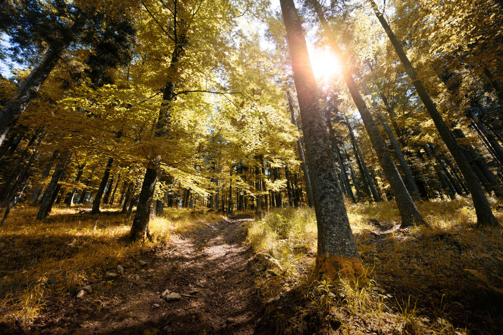 05 - природа и пейзажи