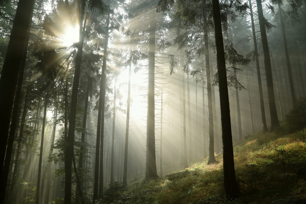 05 - природа и пейзажи